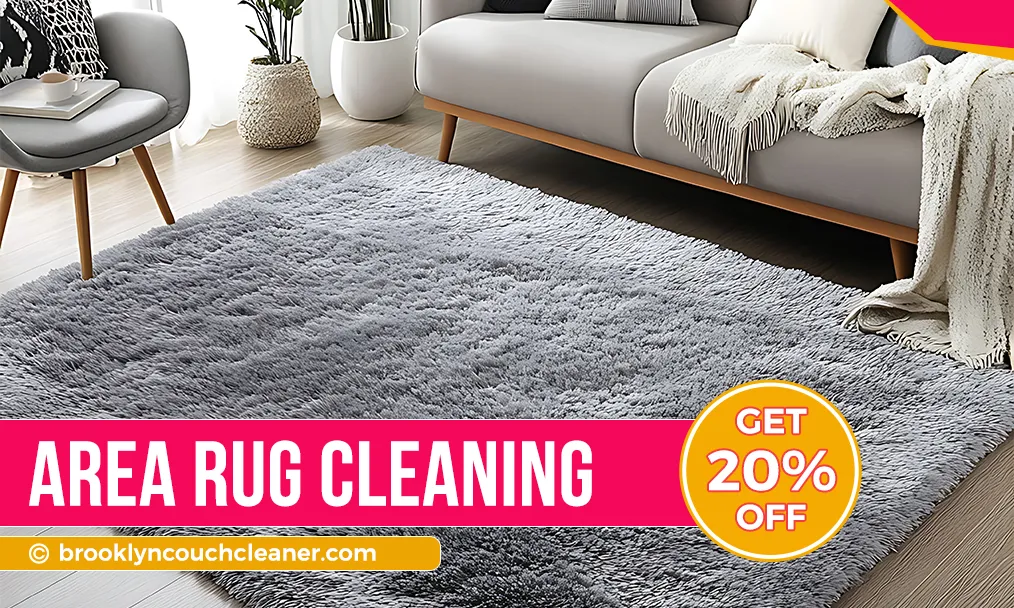 Area Rug Cleaning